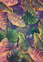 Mijölnir Juego de alfombrillas de baño CT-5330, 2 piezas, Multicolor
